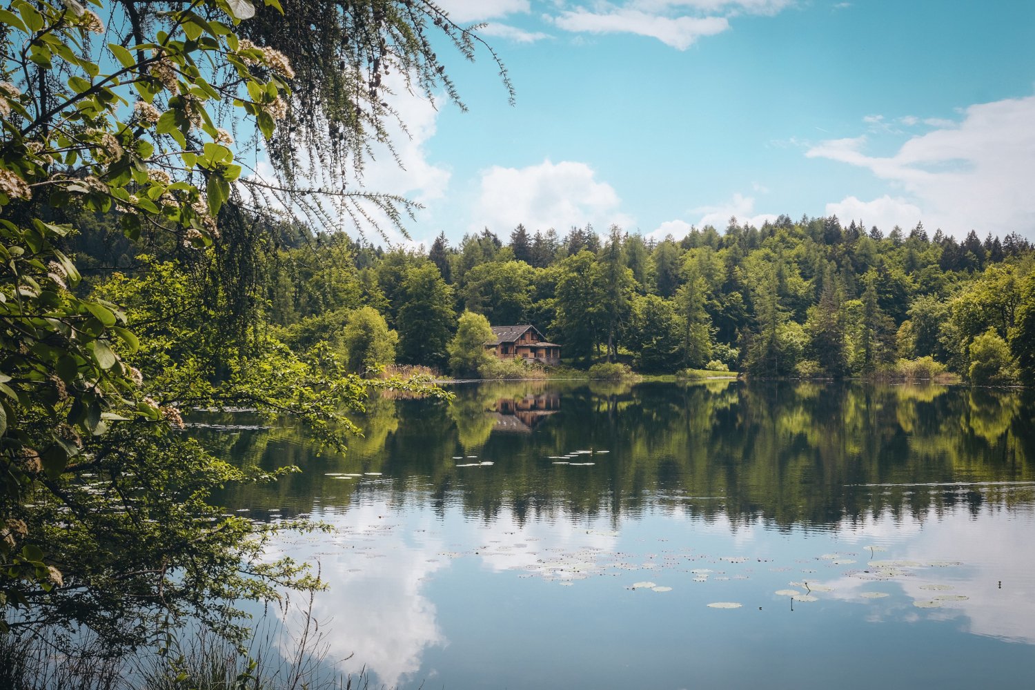 Silêncio e natureza
