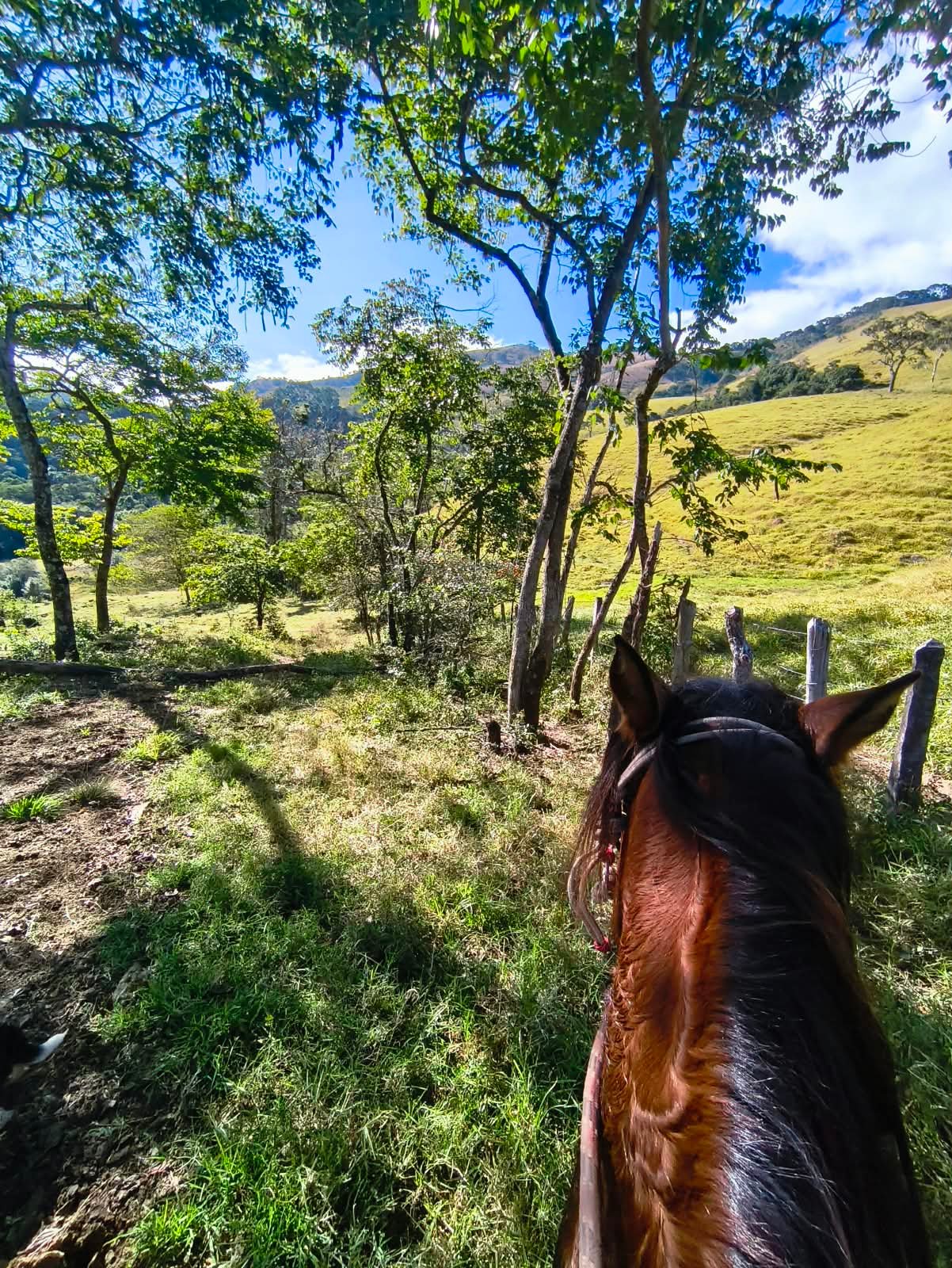 Minas Gerais