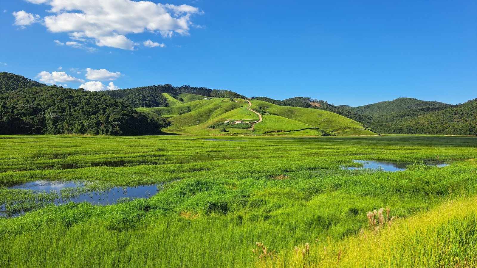 Paisagem de Salesópolis SP